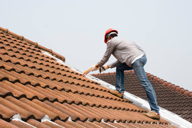 Best Storm Damage Roof Repair  in Butler, MO