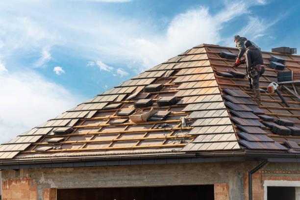 Best Sheet Metal Roofing  in Butler, MO